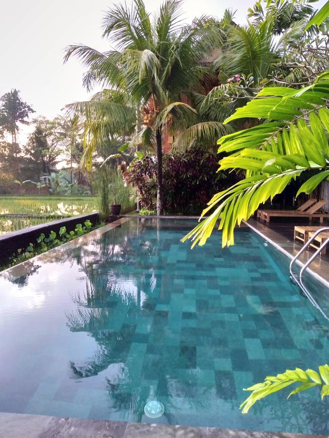 Tempat Tidur & Sarapan Lestari