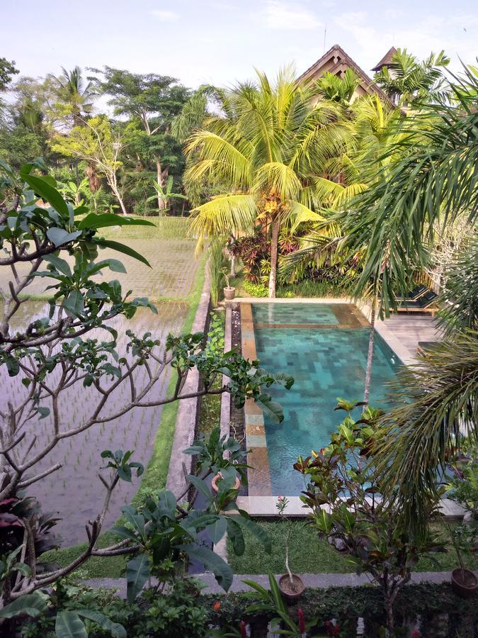 Tempat Tidur & Sarapan Lestari