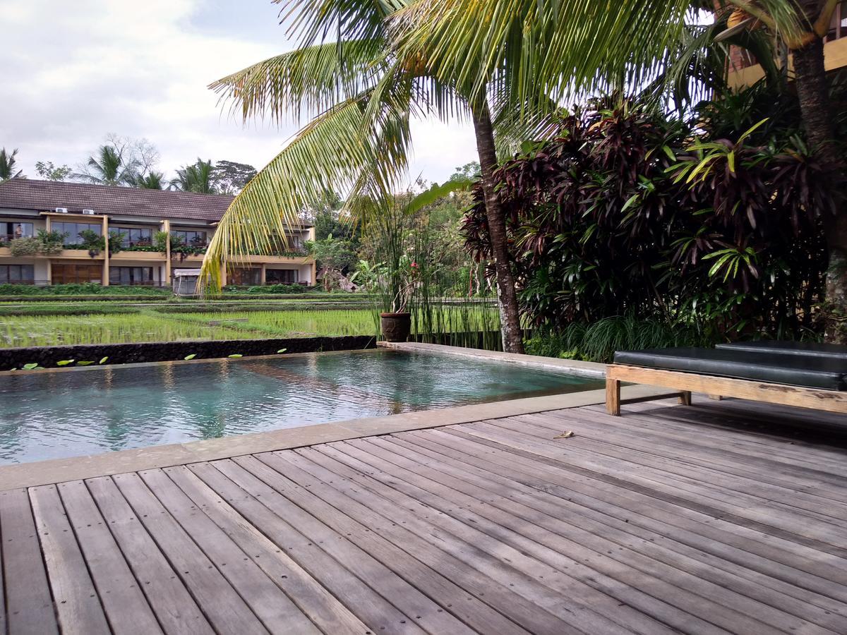 Bed & Breakfast Lestari Ubud (Bali)